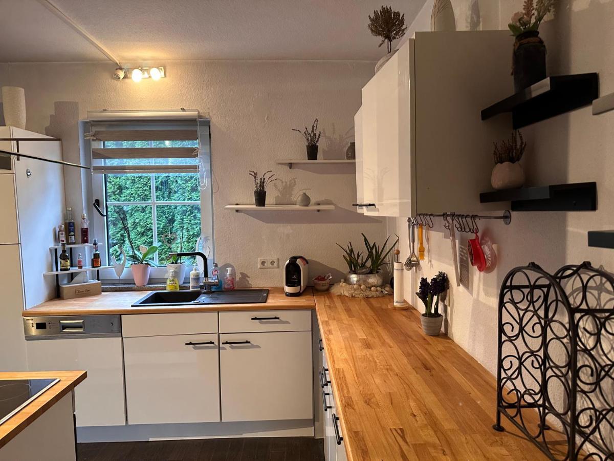4 Zimmer 11 Personen Wohnung Garten Terrasse Grill 2 Badezimmer Вупперталь Екстер'єр фото
